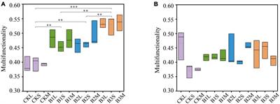 Biodiversity of network modules drives ecosystem functioning in biochar-amended paddy soil